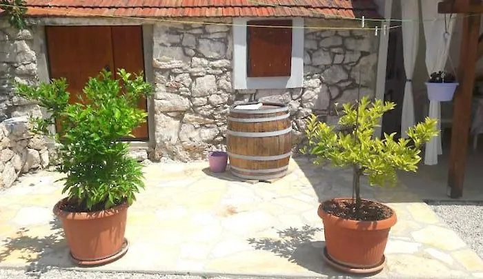 House Marie's Lavander Dream *